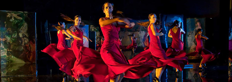 Flamenco flamenco (2010)