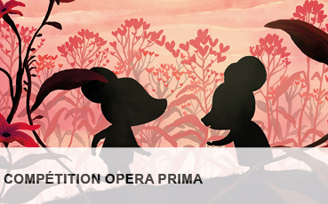 COMPETITION OPERA PRIMA 2017