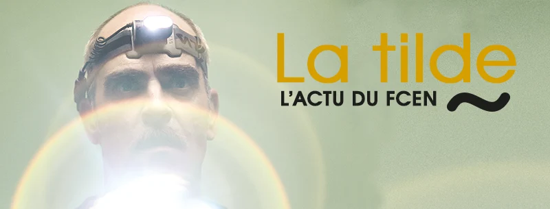 Newsletter "La Tilde" - Toute l'actu du Festival du Cinéma espagnol de Nantes 2023 Tilde newsletter 2023