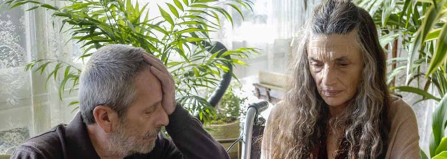 polvo-seran-bandeau2